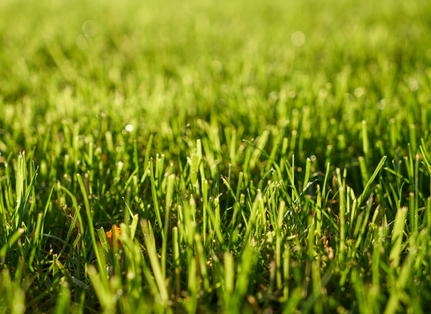 Réhabilitation de l’espace tennistique extérieur, Padel et pickleball – Bonneuil-sur-Marne